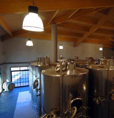 cave vinification