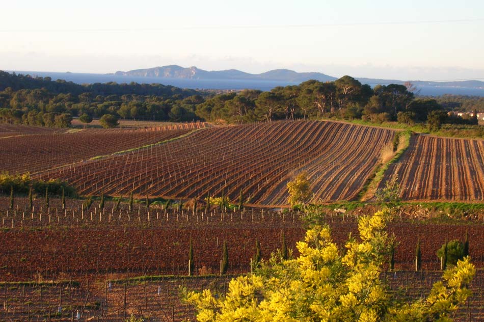 AOC Cotes de Provence La Londe